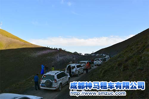 成都租車哪家便宜
