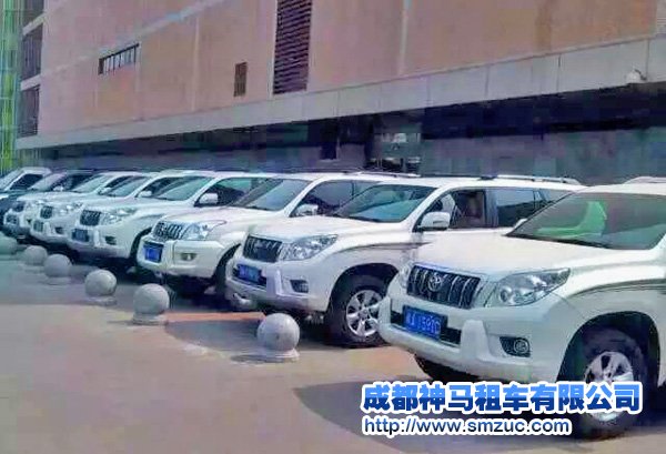 汽車租賃業(yè)步入競(jìng)速時(shí)代，有規(guī)模才有出路