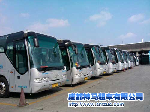 成都租30座以上大巴車一天大概多少錢