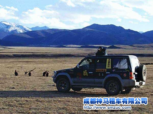 成都自駕租車