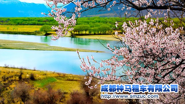 成都租車去林芝遇見最美的春天